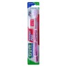 Gum Toothbrush Technique Pro 528
