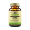 Solgar Ginkgo Biloba Extract 60 Tablets