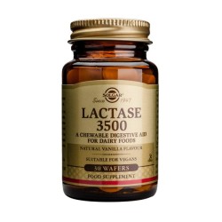 Solgar Lactase 30 Chewable Tablets