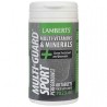 Lamberts Multi Guard Sport 60 Tablets