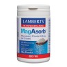 Lamberts Magasorb Magnesium Powder 165g