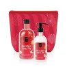 Lavish Care Holly Jolly Apple Pie - Xmas Set
