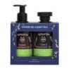 Apivita Xmas 23 Tonic Mountain Tea Set
