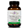 Bh Tribulus 500mg 60 Capsules