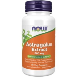 NOW Foods Astragalus Extract 500mg