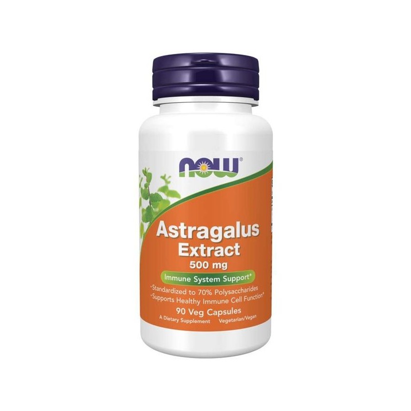 NOW Foods Astragalus Extract 500mg