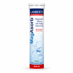 Lamberts Magasorb 300mg With Vitamin B6 Effervescent 20 Tablets