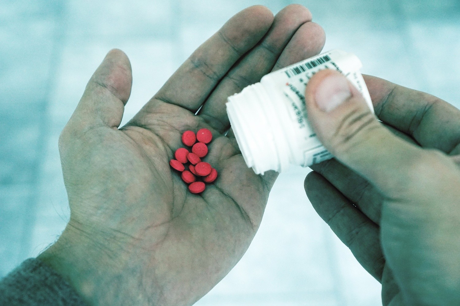 L-Carnitine