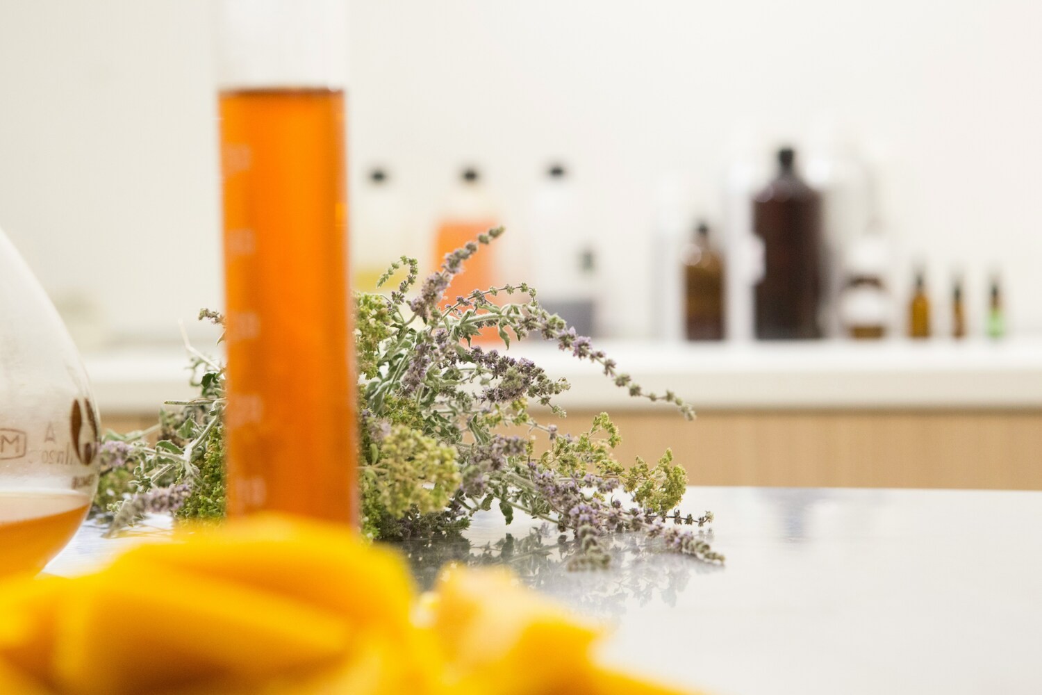 Propolis