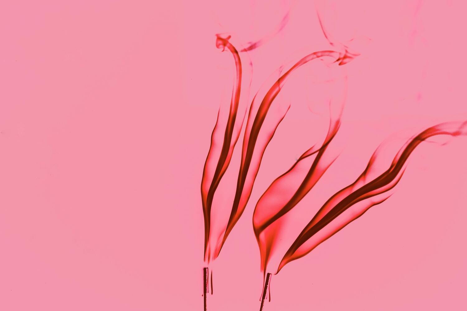 Vaginal Suppositories